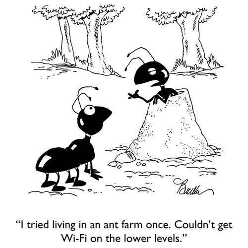 "I tried living in an ant farm once. Couldn't get Wi-Fi on the lower levels."