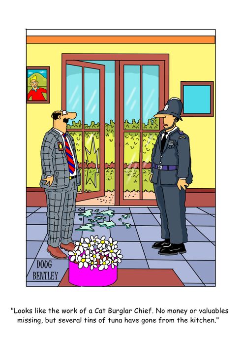 "Looks like the work of a cat burglar Chief. No money or valuables missing, but several tins of tuna have gone from the kitchen."