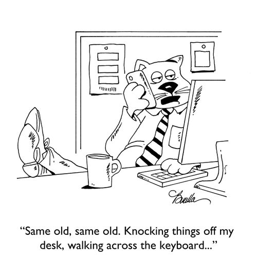 "Same old, same old. Knocking things off my desk, walking across the keyboard..."
