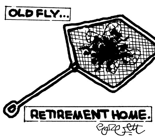 Old fly...retirement home.  