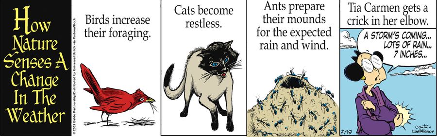 How Nature Senses a Change in the Weather