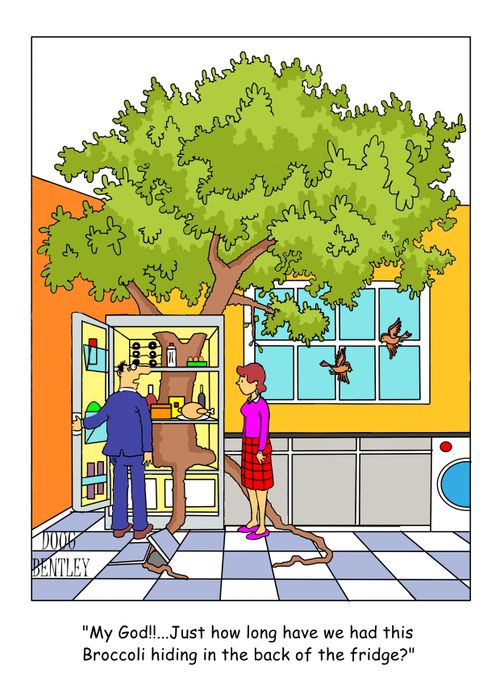 "My God!!..Just how long have we had this Broccoli hiding in the back of the fridge?"