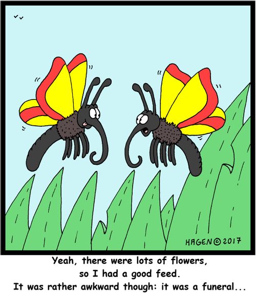 "Yeah, there were lots of flowers, so I had a good feed. It was rather awkward though: it was a funeral..."