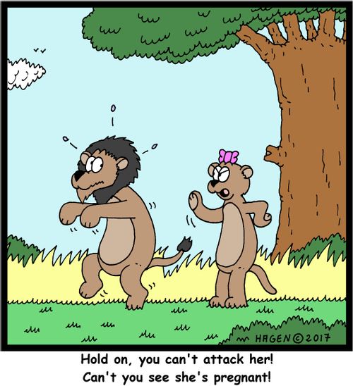 "Hold on, you can't attack her! Can't you see she's pregnant!"
