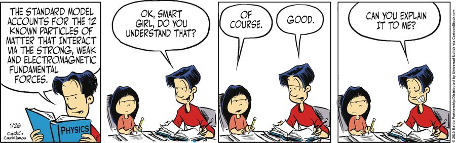 "The standard model accounts for the 12 known particles of matter that interact via the strong, weak and electromagnetic fundamental forces. Okay, smart girl, do you understand that?"