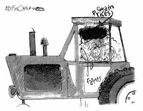 Grain prices - farmer.