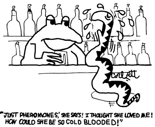 "'Just pheromones,' she says! I thought she loved me!  How could she be so cold blooded!"
