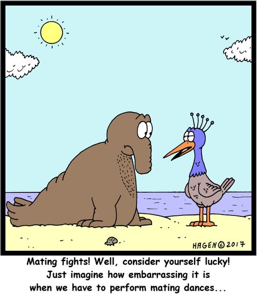 "Mating fights! Well, consider yourself lucky! Just imagine how embarrassing it is when we have to perform mating dances..."