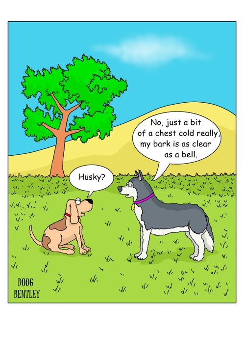 "No, just a bit of a chest cold really, my bark is as clear as a bell." 