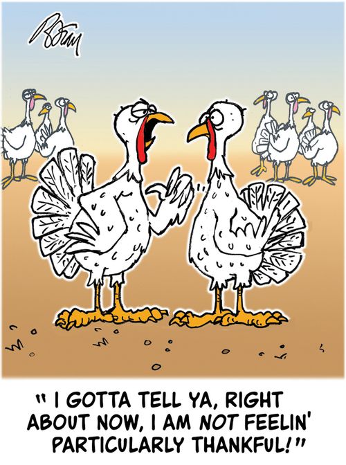 "I gotta tell ya, right about now, I am not feeling particularly thankful!"