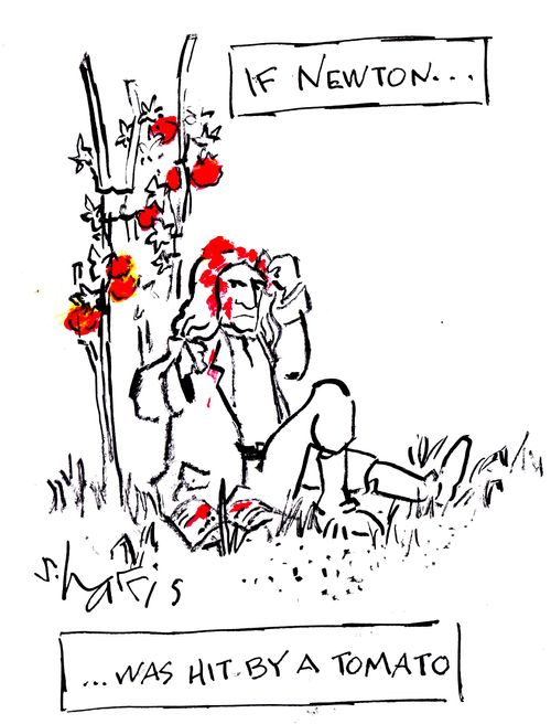 If Newton...was hit by a tomato.