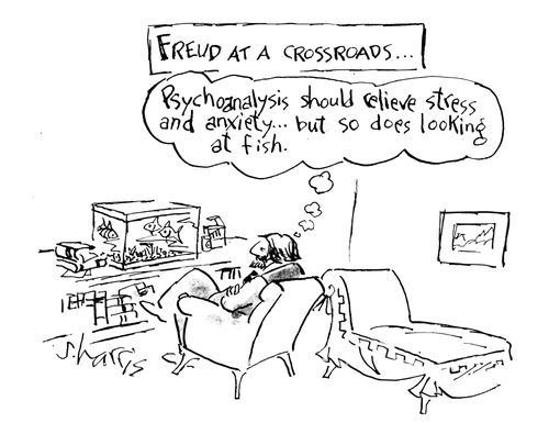 Freud at a crossroads: "Psychoanalysis should relieve stress and anxiety..but so does looking at fish."