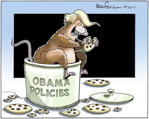 Thieving Rodent