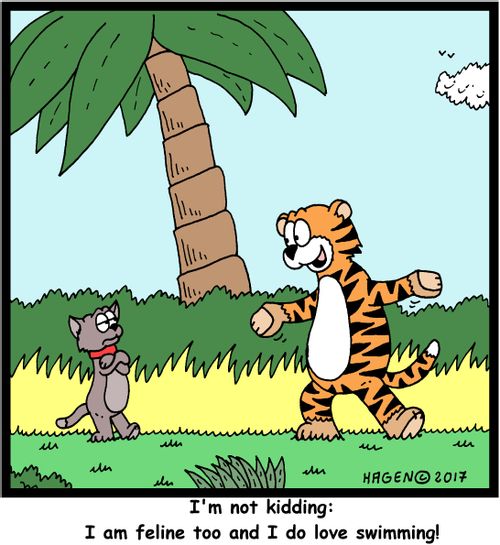 "I'm not kidding: I am feline too and I do love swimming!"