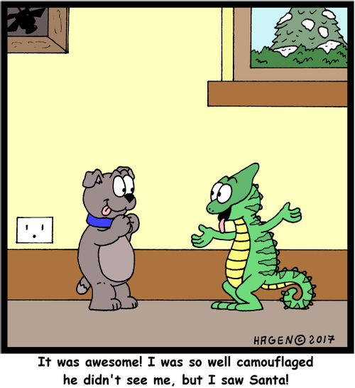 "It was awesome! I was so well camouflaged he didn't see me, but I saw Santa!"