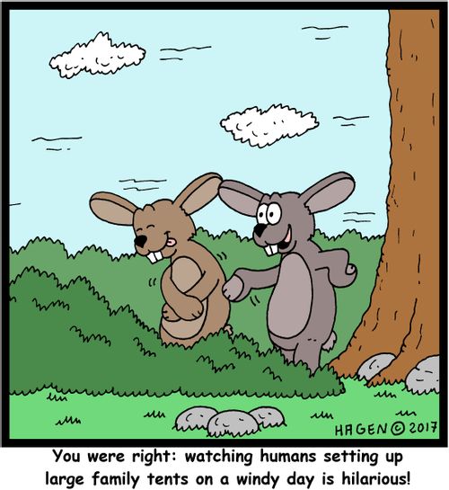 "You were right: watching humans setting up large family tents on a windy day is hilarious!"