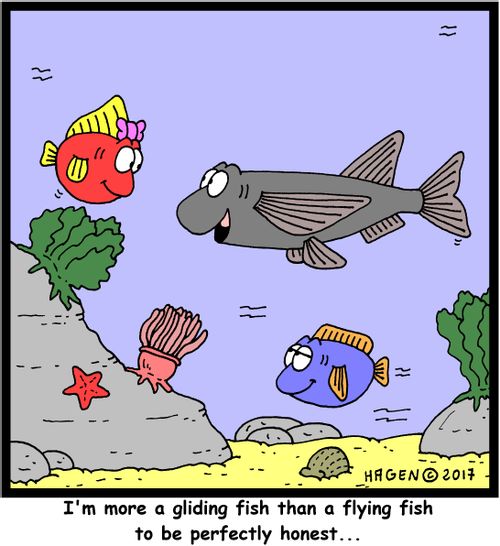 "I'm more a gliding fish than a flying fish to be perfectly honest..."