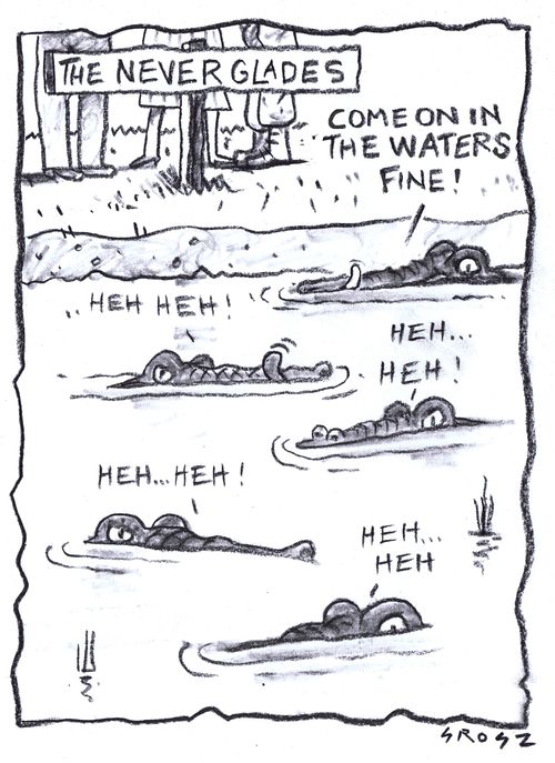The Neverglades ( Alligator heaven )