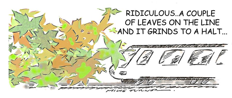 "Ridiculous..a couple of leaves on the line and it grinds to a halt..."