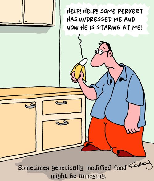 Sometimes genetically modified food might be annoying.