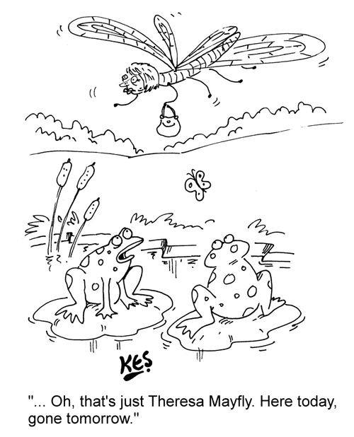 "... Oh, that's just Theresa Mayfly. Here today, gone tomorrow."