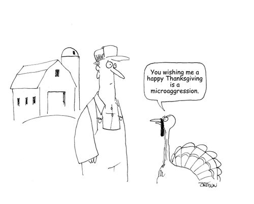 "You wishing me a happy Thanksgiving is a microaggression."