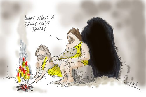 "What about a skills audit then?"