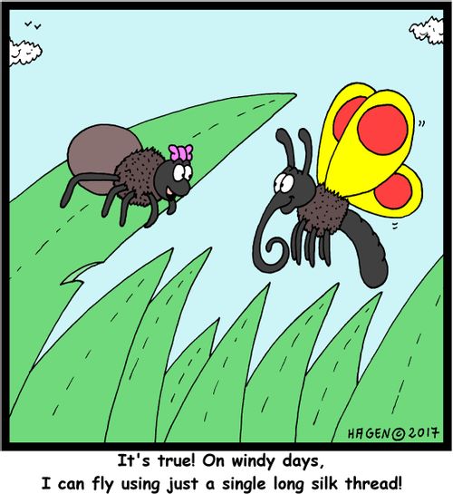 "It's true! On windy days, I can fly using just a single long silk thread!"