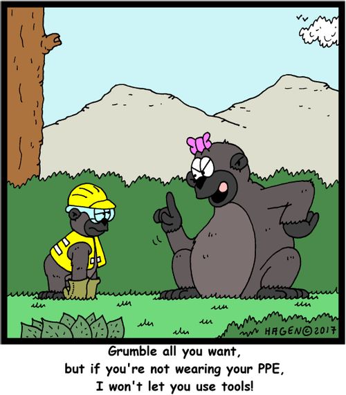 "Grumble all you want, but if you're not wearing your PPE, I won't let you use tools!"