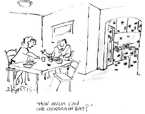 "How much can one cockroach eat?"