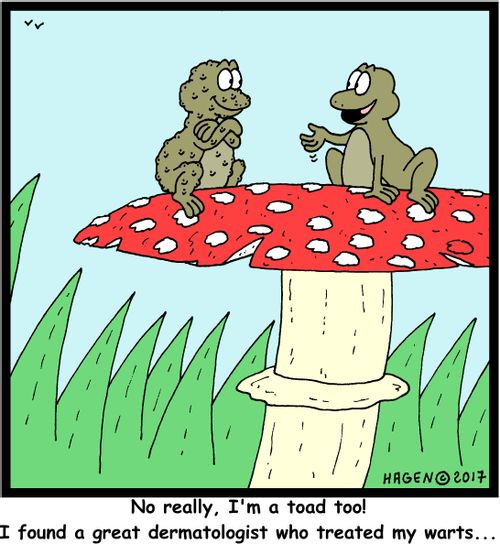 "No really, I'm a toad too! I found a great dermatologist who treated my warts..."