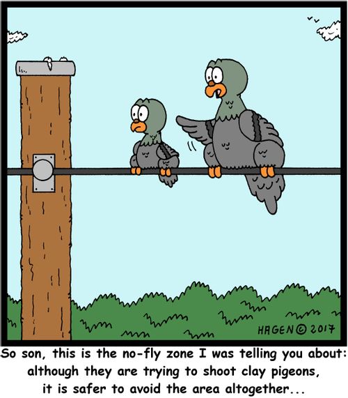 "So son, this is the no-fly zone I was telling you about: although they are trying to shoot clay pigeons, it is safer to avoid the area altogether..."
