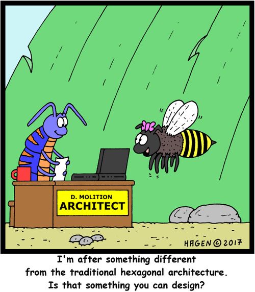 "I'm after something different from the traditional hexagonal architecture. Is that something you can design?"