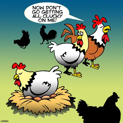 "Now don't go getting all clucky on me!"