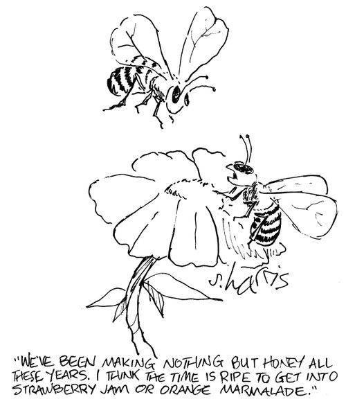 "We've been making nothing but honey all these years.  I think the time is ripe to get into strawberry jam or orange marmalade."