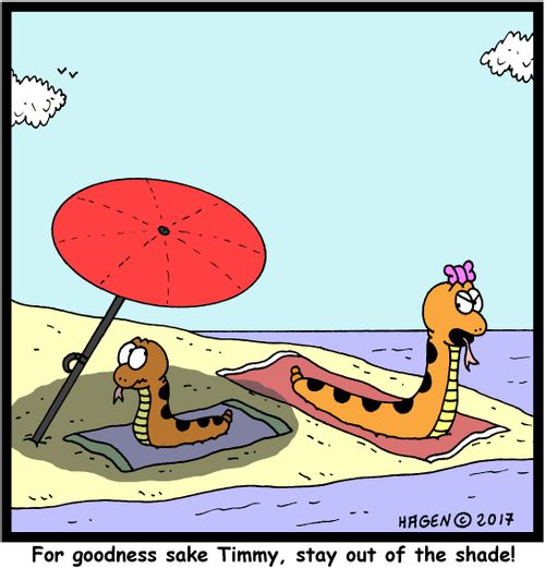 "For goodness sake Timmy, stay out of the shade!"