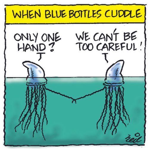 When blue bottles cuddle...