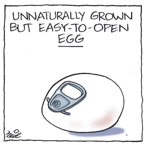Unnaturally grown but easy-to-open egg.