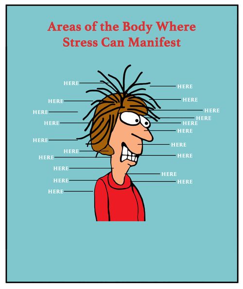 Areas of the Body Where Stress Can Manifest