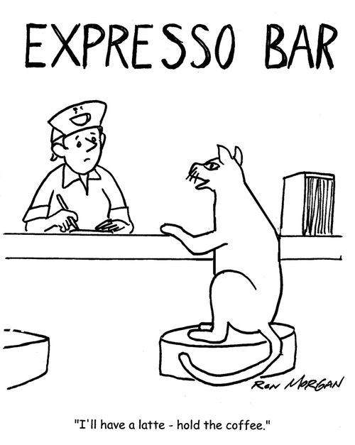"I'll have a latte - hold the coffee."