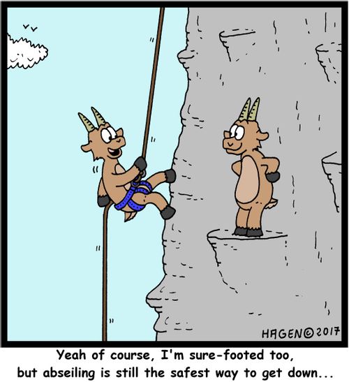 "Yeah of course, I'm sure-footed too, but abseiling is still the safest way to get down..."