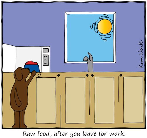 Raw food, after you leave for work.