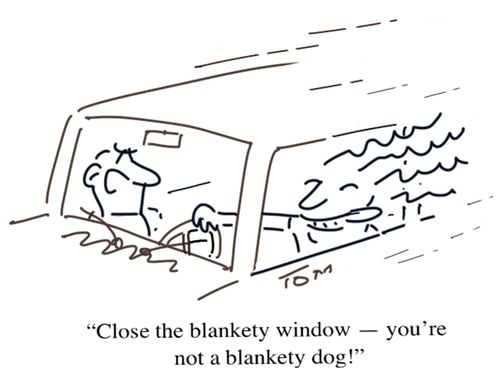 "Close the blankety window - you're not a blankety dog!"