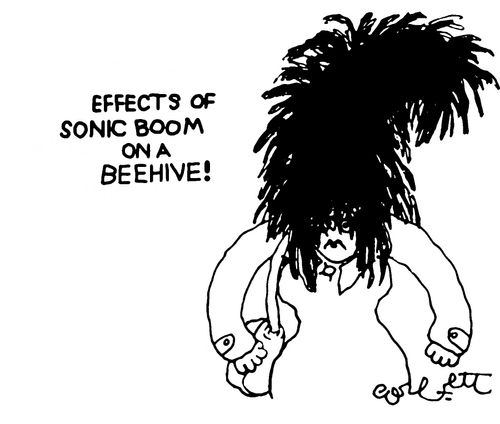 Effects of a sonic boom on a beehive!