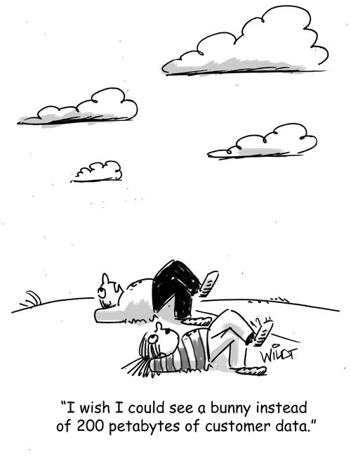 "I wish I could see a bunny instead of 200 petabytes of customer data."