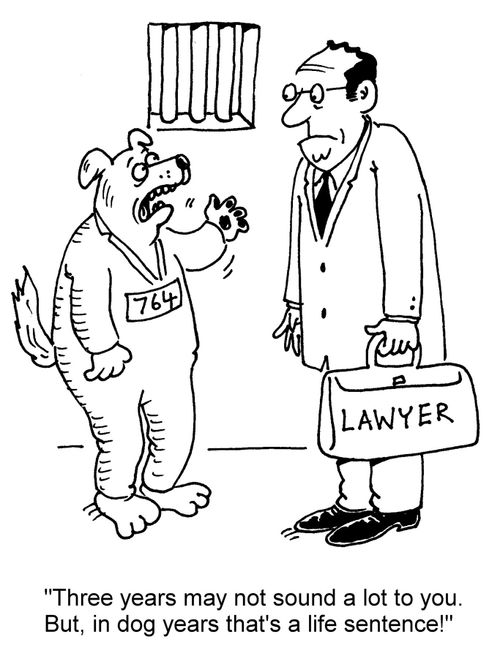 "Three years may not sound a lot to you. But, in dog years that's a life sentence!"