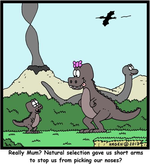 "Really Mum? Natural selection gave us short arms to stop us from picking our noses?"