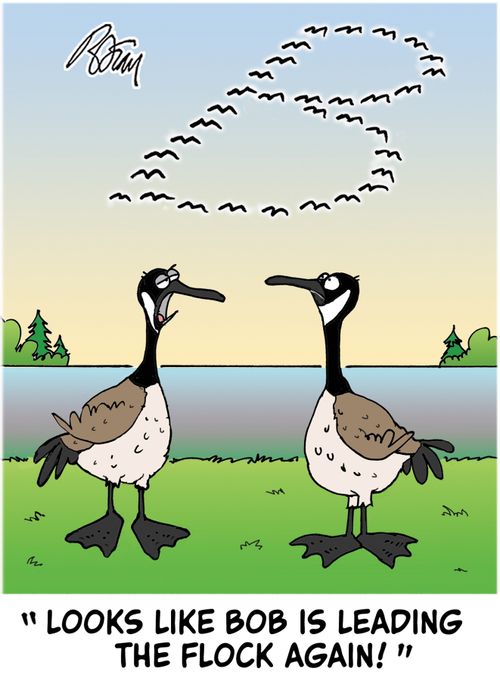 "Looks like Bob is leading the flock again!"