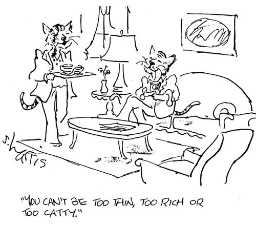 "You can't be too thin, too rich or too catty."