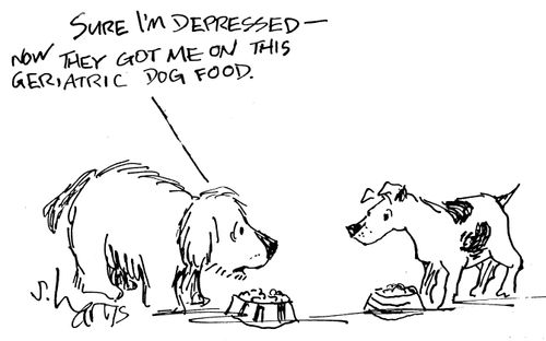 "Sure I'm depressed - now they got me on this geriatric dog food."